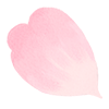 벚꽃 파티클
